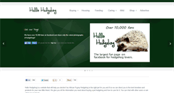 Desktop Screenshot of hellohedgehog.com